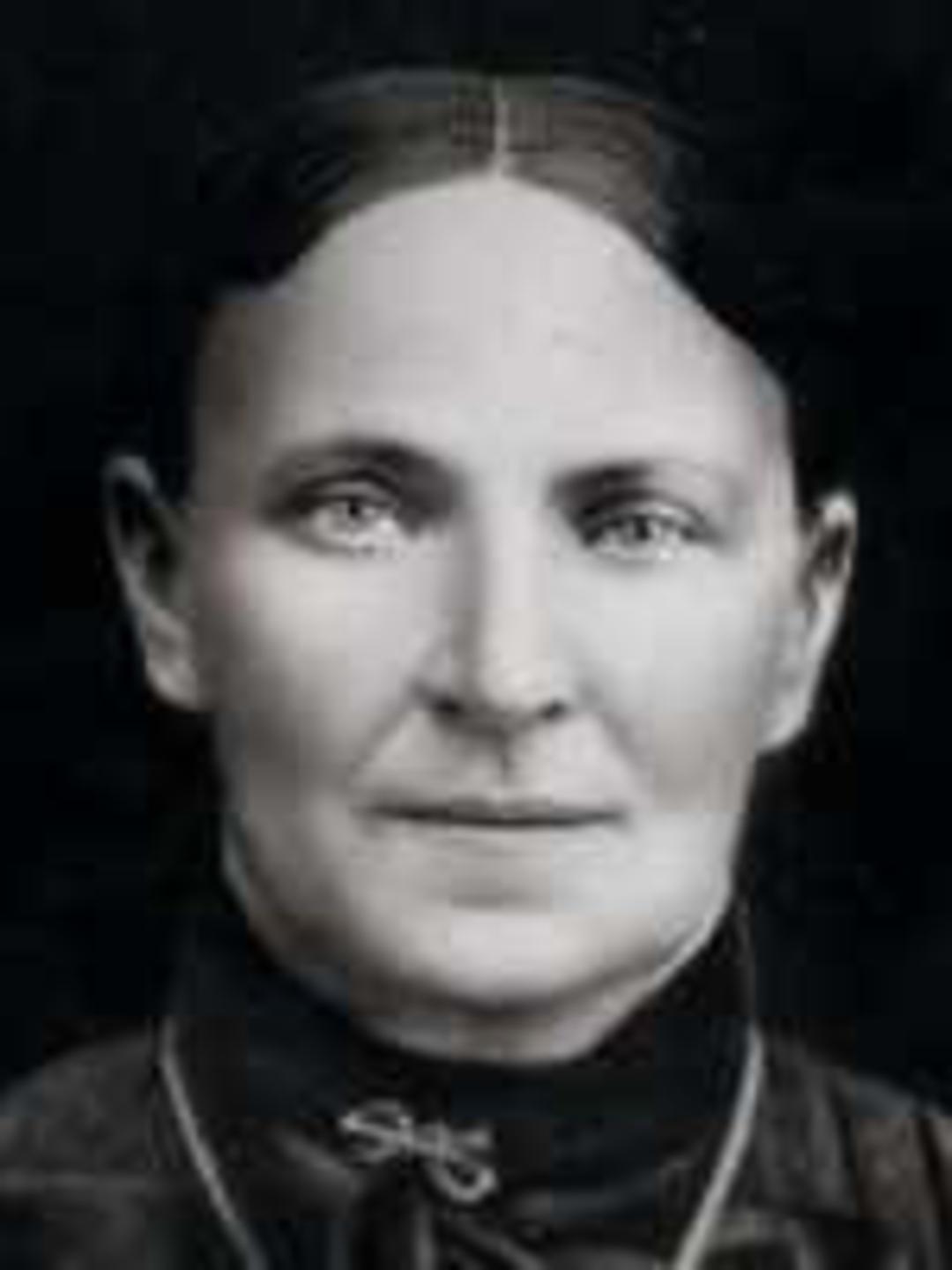 Ellen Victoria Clark (1848 - 1940) Profile